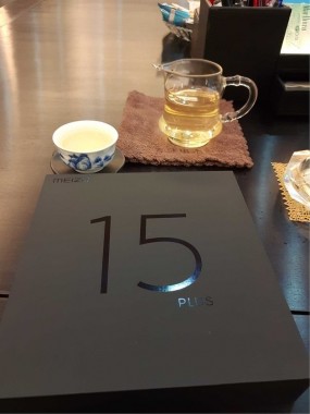 Alleged Meizu 15 Plus электрическая схема утечка